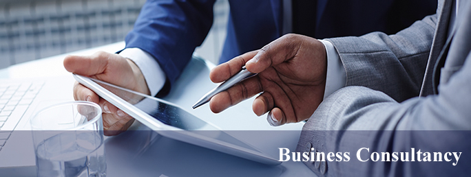 Business Consultancy