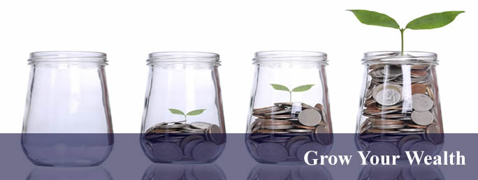 Grow Your Wealth